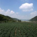 황토통나무집민박 이미지