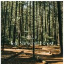 데이지플라워샵 이미지