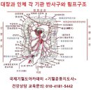 대장암 초기증상 - 변비가 지속되고 복부가 차가우면.... 이미지