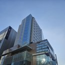 맨하탄 - 김포시 중구로 53 | 스탠포드호텔서울 맨하탄그릴&바 상암동펍&바, 맨하탄바 치맥 후기