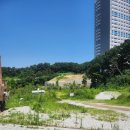 돗가비불쭈꾸미태장점 이미지