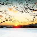 인간의 대지-터 이미지