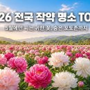 황강생태공원 A-02 | 5월에만 피는 귀한 꽃, 2026 전국 작약 명소 7곳과 숨은 포토존 총정리
