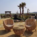 제주에펜션103 이미지