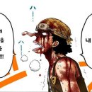 우솝 카카오 검색결과