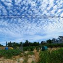 광명주유소 이미지