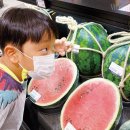 주안서로 이미지