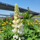 검암공원 이미지