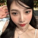 조이식물 이미지