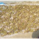 판교시장 이미지