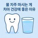 스마트한치과의원 네이버블로그