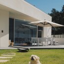 더힐링동물병원 이미지