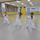 새나루 태권도 이미지