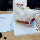 굿모닝 보청기 광주 서구점 | 우리 부모님 귀 건강을 위한 광주서구보청기 고민 해결