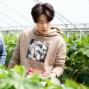 딸기나라 이미지