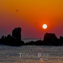 365자연을담다 이미지