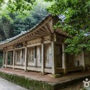 가우도 낚시공원 | [전라남도 강진군] 가우도 - 전 견종 가능 · 맹견 입마개 · 목줄 착용 · 배변봉투 지참