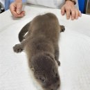 월광1수변공원 이미지