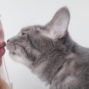 사랑해요 사랑해요 정말로 정말로 I love you so~