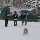 유강초등학교 이미지