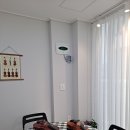 작은별바이올린교습소 네이버블로그