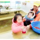 주화농장 이미지