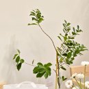 전재민한의원 이미지