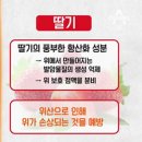 위 건강 지키는 비타민 u 이미지