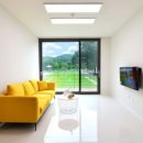 도그버디 이미지