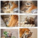 서울대공원 이미지