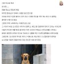 멍뭉이 이미지