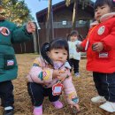 별하반:서울대학교 관학수목원 견학 이미지