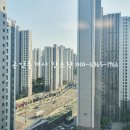 맘스동물약국 이미지