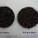 농업회사법인(주)모닝 경향신문