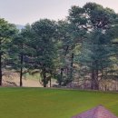 현충원로(유성-20) 이미지