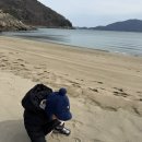 완도약산흑염소 | 완도 가볼만한 곳 아이랑 갈만한 해수욕장 가사동백숲해변 가사리해수욕장 완도맛집 약산흑염소고향회관