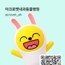 아크로벳 내과동물병원 이미지