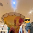 제주할망밥상표선점 | 여행 3일차-해비치제주/표선해수욕장/제주할망밥상표선점/제주목장카페밭디/제주감귤나무숲/이호테우...