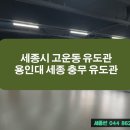 세종 용인대 충무유도관 이미지