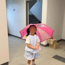 190 | 보그스 유아 장화 190 사이즈 후기｜6세 여아 레인부츠 추천