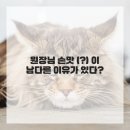 미즈필치과의원 | 드디어 치과 정착 찐텐 후기 풀게요!