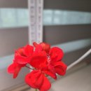 제린농장 네이버블로그