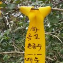 옥실이네 이미지