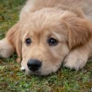 울진동물병원 이미지