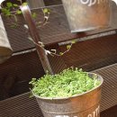 습관도 습관이다 이미지