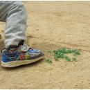 본량어린이집 이미지