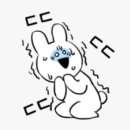 탐스짐 이미지