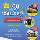 펫페스티벌