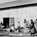 덕원농장2 이미지