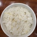 서울북어전문 | 대전 맛집 서울북어 후기(주차, 분위기)